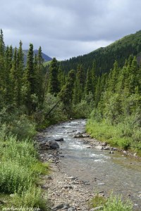 denali_creek2_web