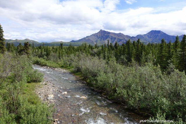 denali_creek_web