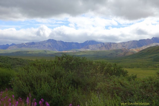 denali_fire_weed_web