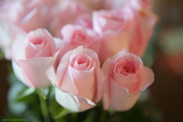 pink_roses_macro_web