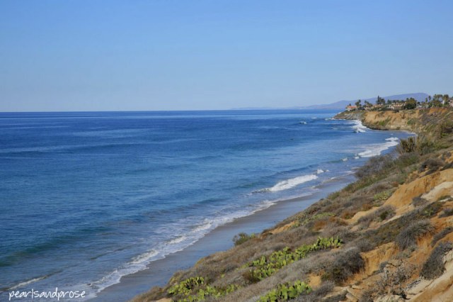 carlsbad_shoreline_web