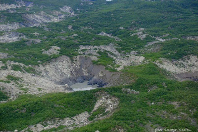 flight_vegetation_web