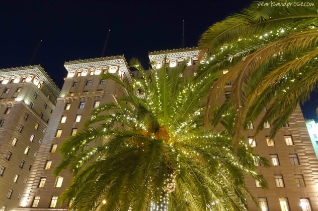 SF_union_hotel_palms_web