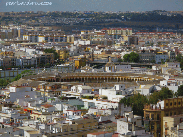 sevilla_view_bullring_web