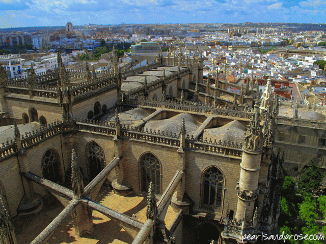 sevilla_view_buttresses_web