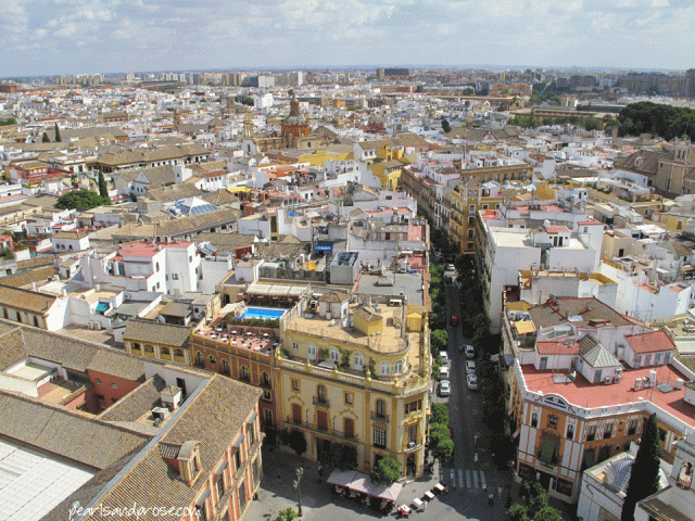 sevilla_view_pool_web