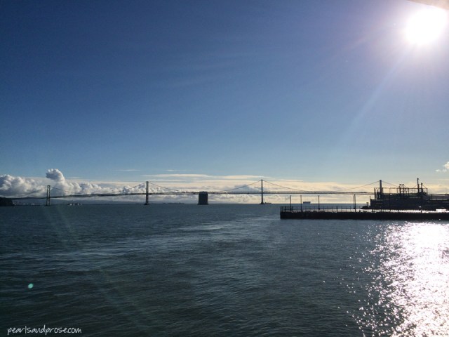 alca_bay_bridge2_web