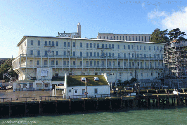 alca_building_64_web