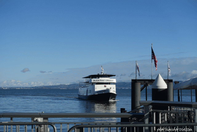 alca_ferry_web