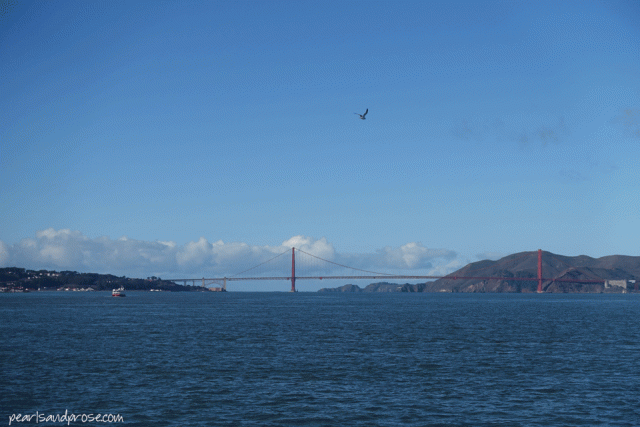 alca_golden_gate_web