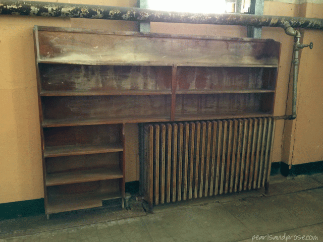 alca_library_shelves_web