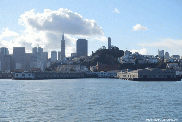alca_sf_skyline_web