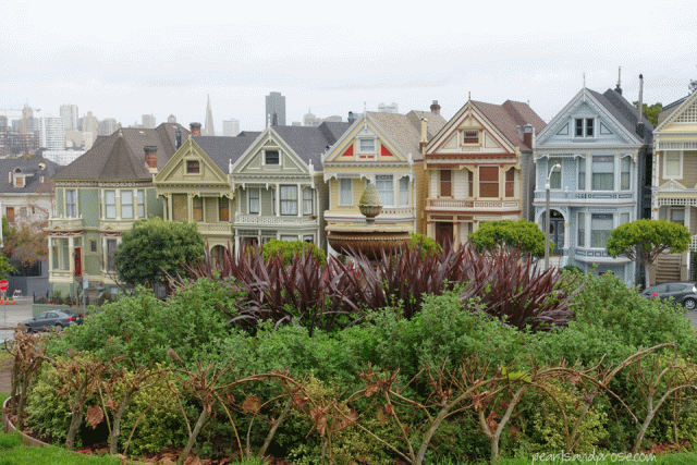 SF_painted_closeup_web