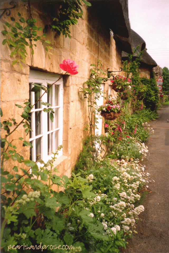 cotswolds_roses_web