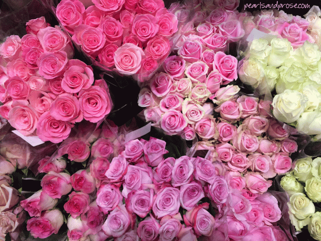 pink_roses_web