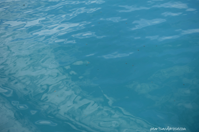 alaska_blue_water_web